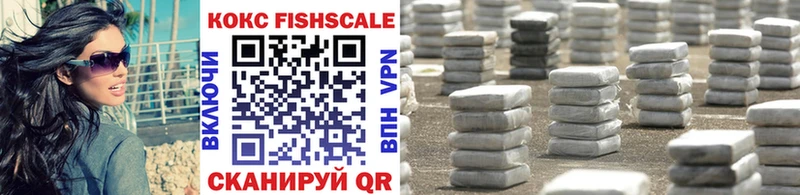 КОКАИН FishScale  как найти наркотики  mega ССЫЛКА  Суздаль 