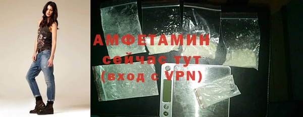 гидра Липки