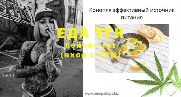 хмурый Лагань