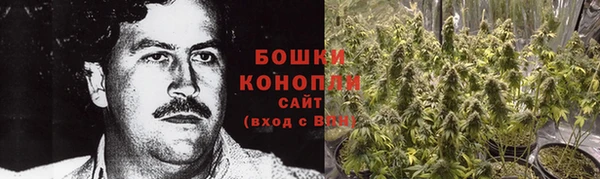 гидра Липки